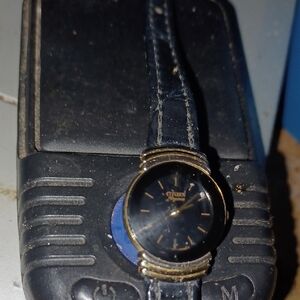 Citizen Black and Gold Watch